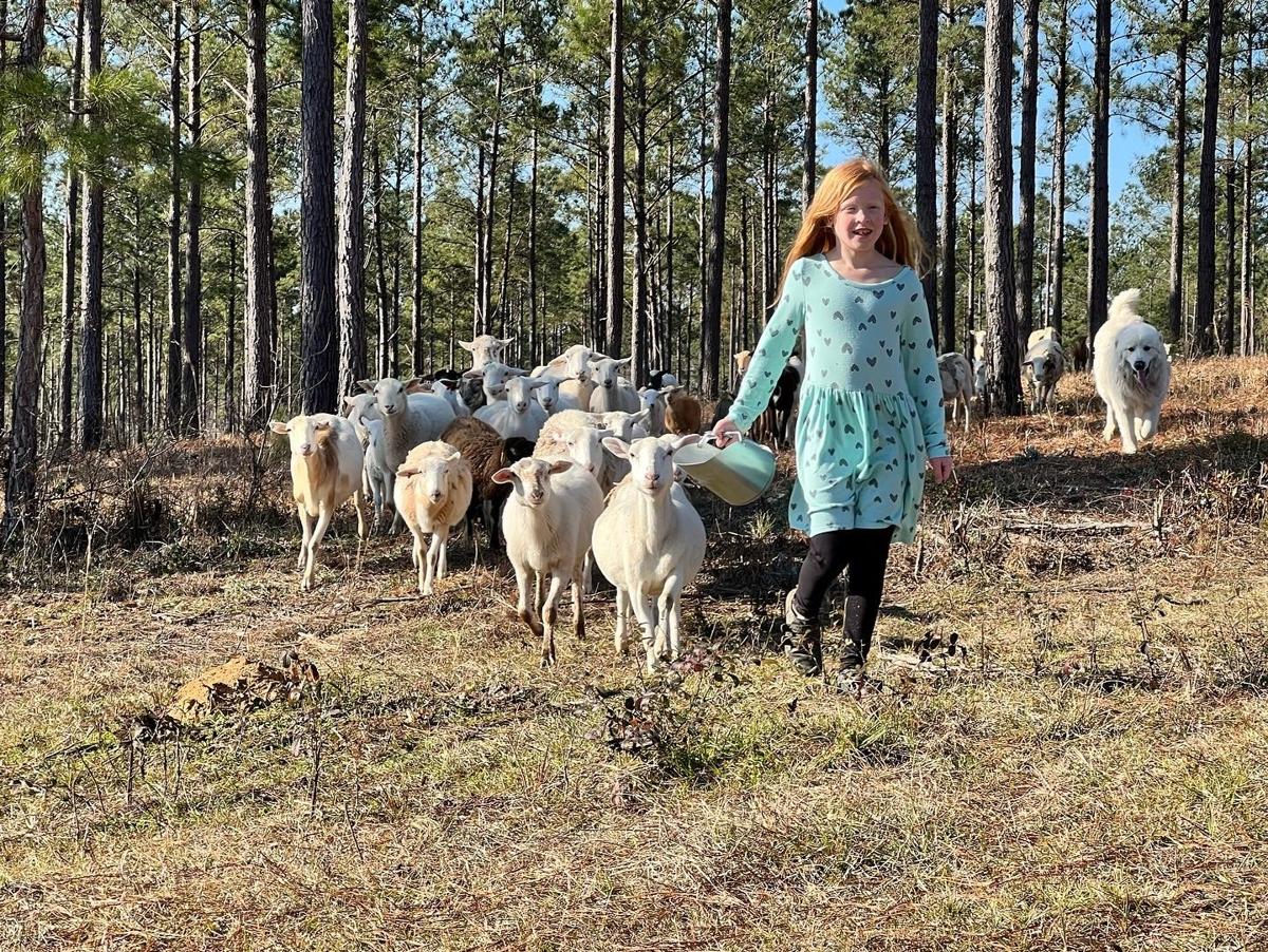 Follow Me Land & Livestock hero image